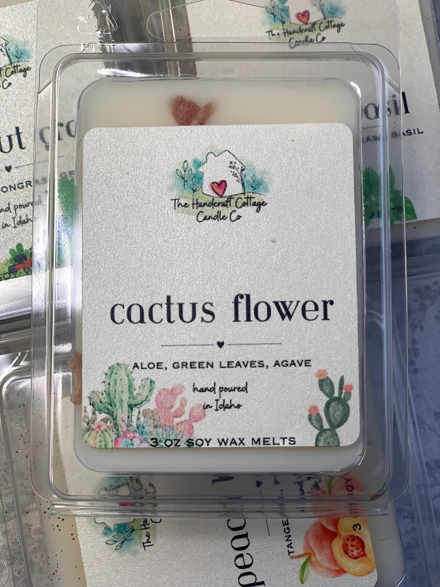 Cactus Flower