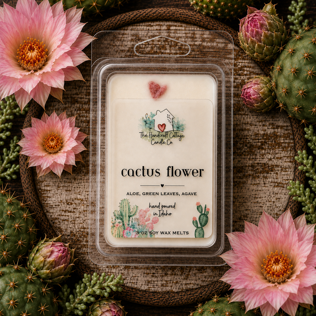 Cactus Flower