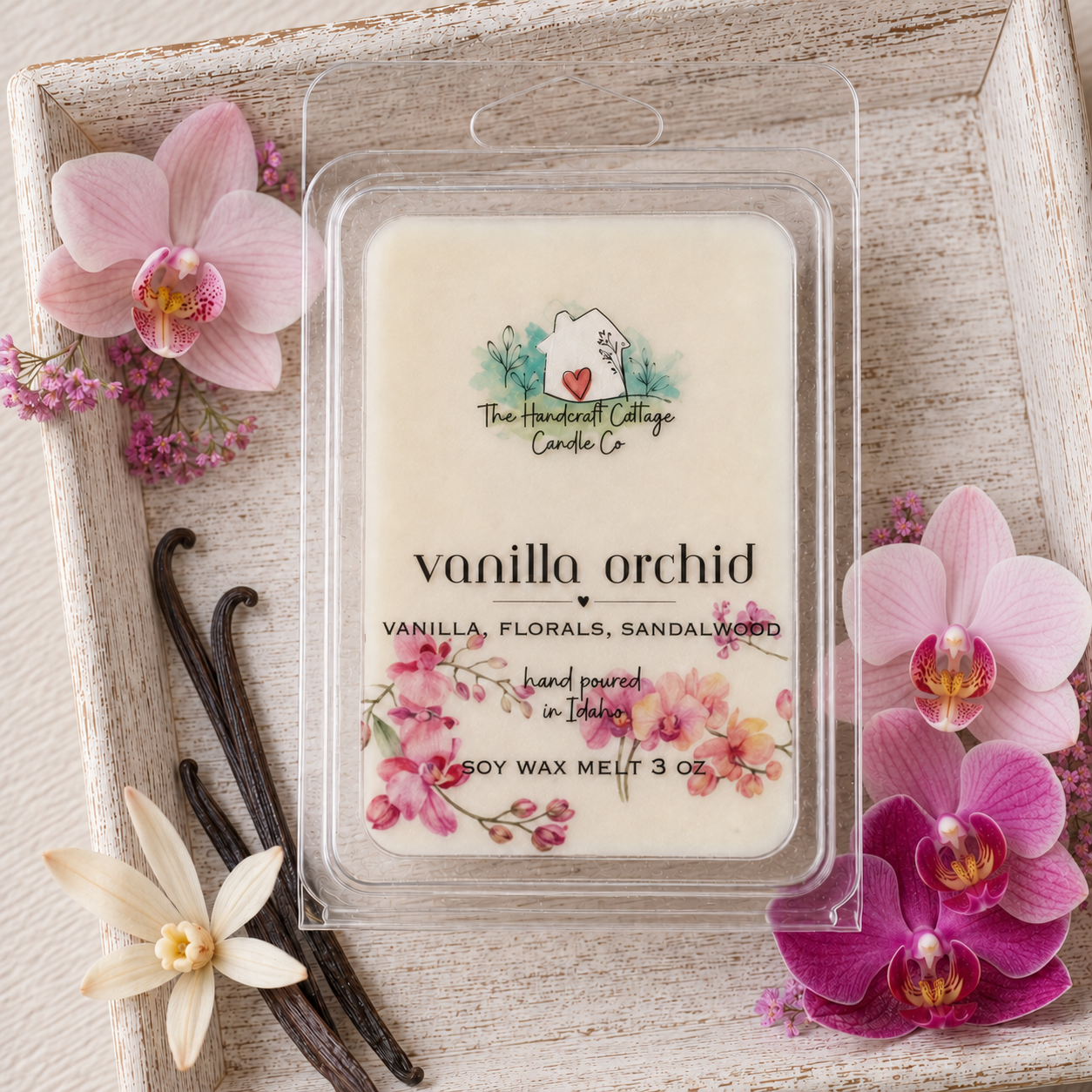Vanilla Orchid